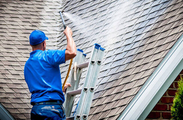 newton roof cleaning